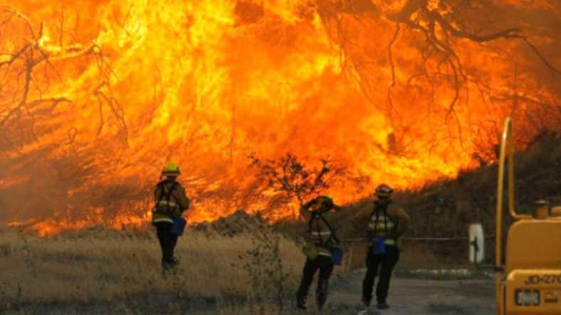 Kaliforniya’da Sıcaklık Orman Yangınlarına Neden Oluyor