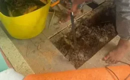 Duvardan ve yerden bal fışkırdı! Genç çift evlerinden 20 çuval bal peteği çıkardı