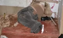 Acı çığlığa koşan gardiyanlar, manzarayı görünce gülme krizine girdi